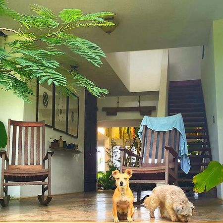 El Hotelito At The Rainforest Experience Farm فاجاردو المظهر الخارجي الصورة