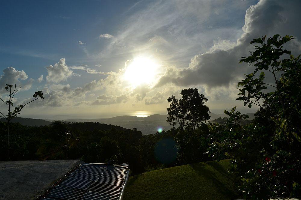 El Hotelito At The Rainforest Experience Farm فاجاردو المظهر الخارجي الصورة