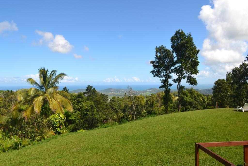El Hotelito At The Rainforest Experience Farm فاجاردو المظهر الخارجي الصورة