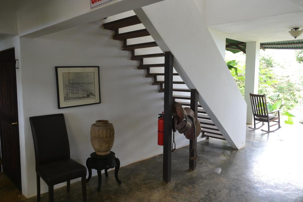 El Hotelito At The Rainforest Experience Farm فاجاردو المظهر الخارجي الصورة