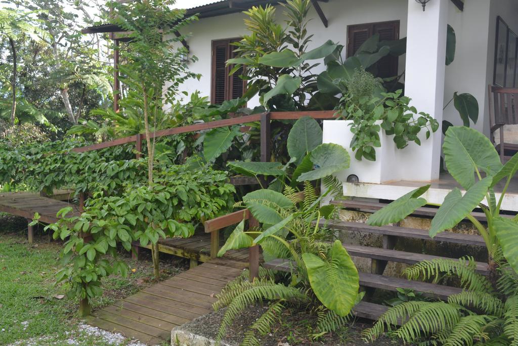 El Hotelito At The Rainforest Experience Farm فاجاردو المظهر الخارجي الصورة