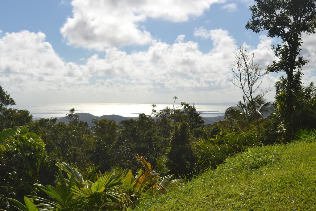 El Hotelito At The Rainforest Experience Farm فاجاردو المظهر الخارجي الصورة
