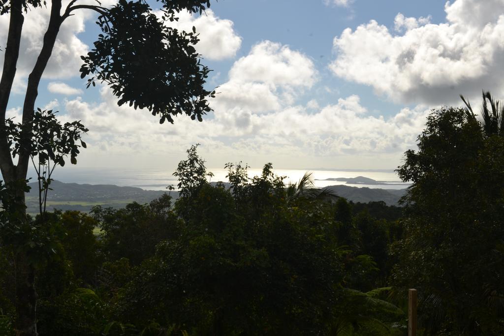 El Hotelito At The Rainforest Experience Farm فاجاردو المظهر الخارجي الصورة
