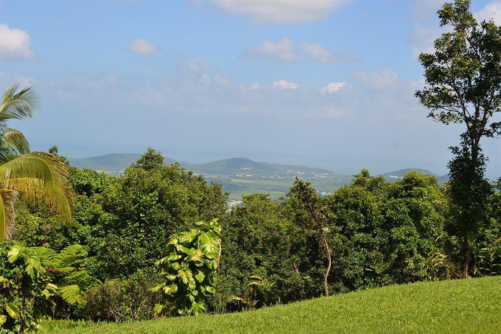 El Hotelito At The Rainforest Experience Farm فاجاردو المظهر الخارجي الصورة