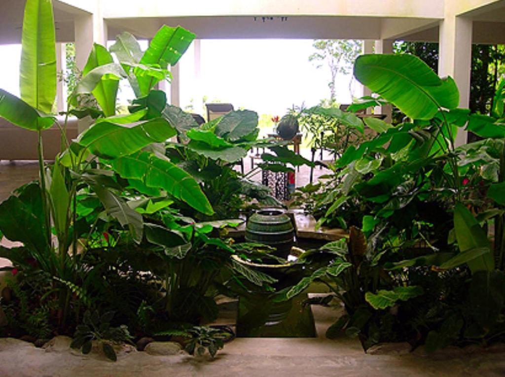 El Hotelito At The Rainforest Experience Farm فاجاردو المظهر الخارجي الصورة