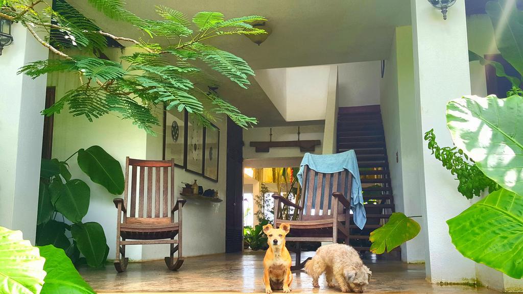 El Hotelito At The Rainforest Experience Farm فاجاردو المظهر الخارجي الصورة