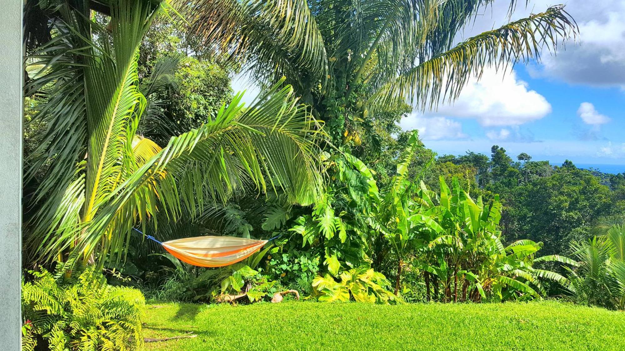 El Hotelito At The Rainforest Experience Farm فاجاردو المظهر الخارجي الصورة